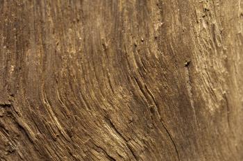 Image of Background texture of rough wood | Freebie.Photography