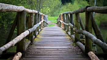 Pathway through brown wooden bridge over calm river HD wallpaper ...