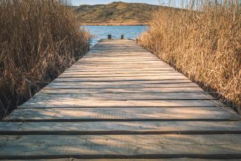 Brown Wooden Dock With Brown Grasses