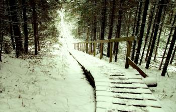 Brown Wooden Stairs Covered With Snow
