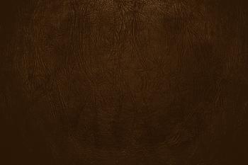 29++ Amazing Light Brown Leather Texture