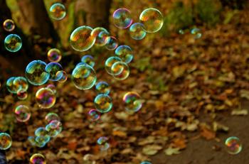 Bubbles in Autumn