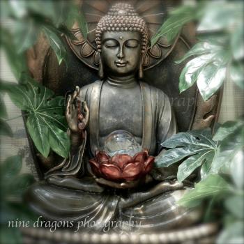 Buddha Wall Art Zen Art Buddha Photography Boho Artwork Zen