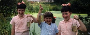 Holiday Accommodation | Darling Buds Farm Kent | Darling Buds Farm