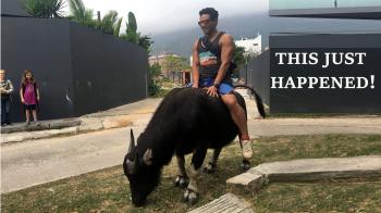 How to Ride a Water Buffalo - YouTube