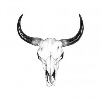 Bull Skull Drawing by John Gordon Art | Tats | Pinterest | Bull ...