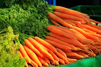Bunch of Carrot