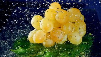Download Wallpaper 1920x1080 drops, bunch, grape, blue background ...