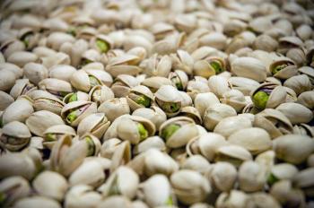 Oh, Nuts! Why California's Pistachio Trees Are Shooting Blanks ...