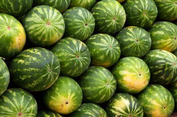 Bunch of Watermelons