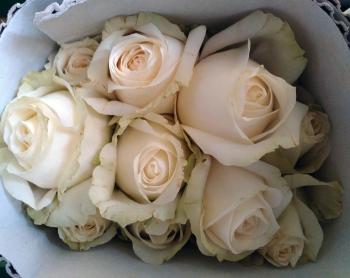 Bunch of White Rose Flowers