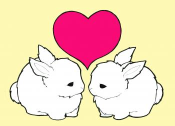 bunny love | Jellyfish Station