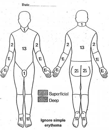 Estimation of the Surface Area Burned