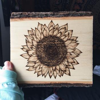 Tipsy Trees | s u n // F L O W E R #sunflower #wood #woodburn ...