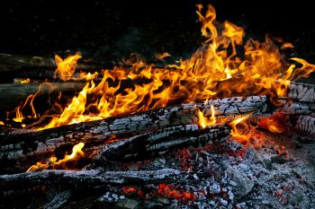 Burning Wood
