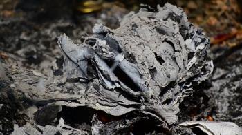 ash from burnt paper Stock Video Footage - VideoBlocks