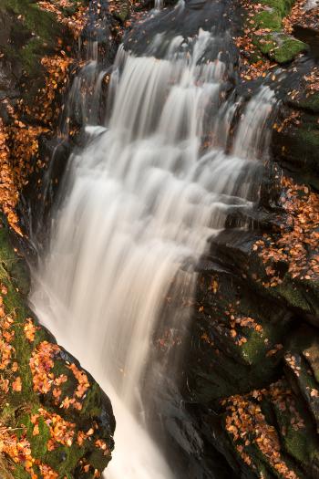 Bushkill Autumn Falls
