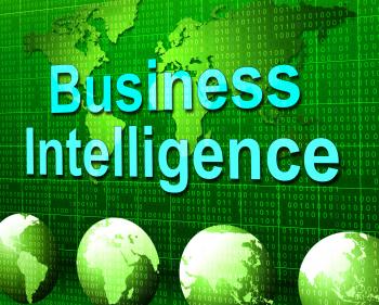 Business Intelligence Means Know How And Biz