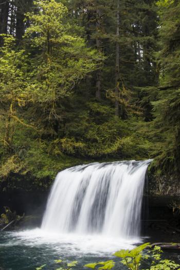 Butte Creek Falls, Oregon, Verticle