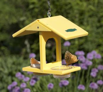 Duncraft.com: Duncraft Eco-Butterfly Feeder