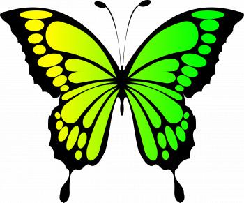 Clipart - Butterfly Yellow Green