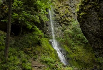 Cabin Creek Waterfall, Oregon