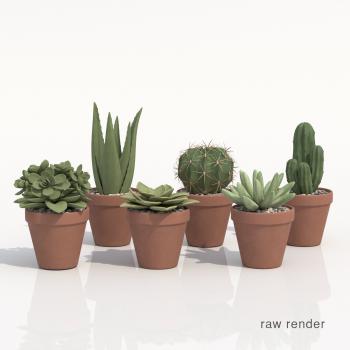 Collection Of Potted Cactus Plants 3D | CGTrader