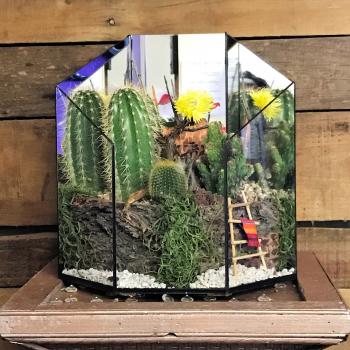 Cactus Terrarium 2 in Prescott, AZ | Allan's Flowers & More