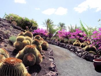 Cactus Park in Fuerteventura