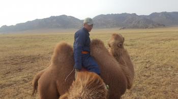 Life of a Camel Herder | Its a Jandy Life!