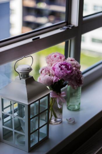 Candle Lantern Near Purple Petaled Flower on Glass Window