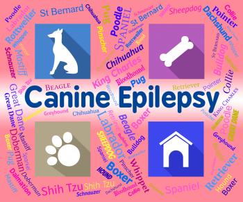 Canine Epilepsy Means Dog And Puppies Fits