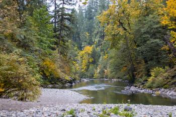 Canyon Creek Park, Oregon, Autumn