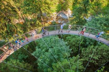 Capilano Suspension Bridge - Landsea Tours & Adventures Landsea ...