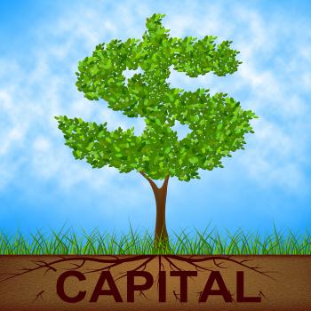 Capital Tree Indicates American Dollars And Banking