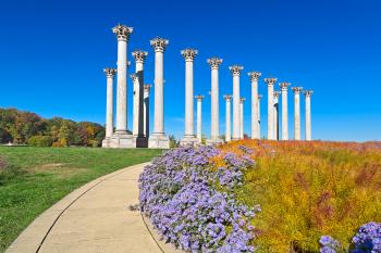Capitol Arboretum Columns - HDR