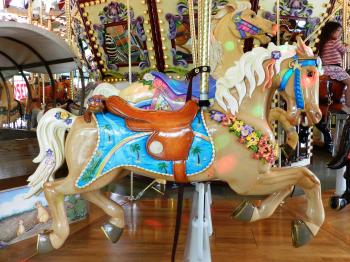 Carousel horse images