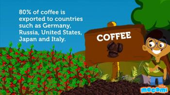 Fun Facts: Know About India's Cash Crops And Where Do They Grow ...
