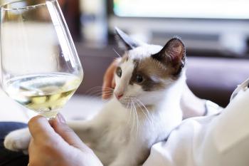 National Drink Wine with Your Cat Week Cat Wines | PEOPLE.com