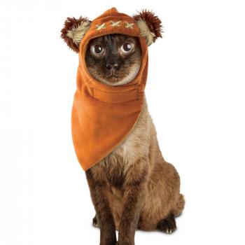 Cat Clothes, Apparel & Outfits | Clothes for Cats | Petco