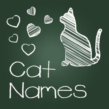 Cat Names Represents Feline Identity And Cats