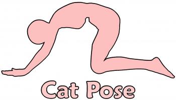 Cat Pose