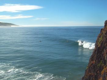 Catch that Wave -  St Clair, Dunedin