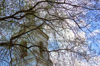 Cathedral and branches
