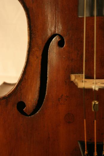 Cello closeup