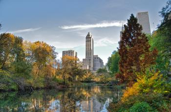 Central Park - Wikipedia