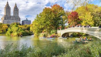 My Late Night Notebook: New York: Central Park