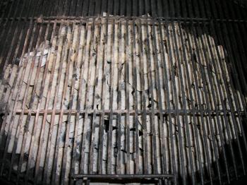 Charcoal in Grill