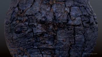 ArtStation - Damp charred wood, Pete Mc Nally | Materials ...