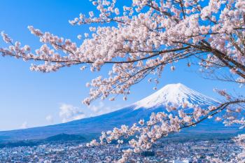 Cherry Blossom Forecast and Report in Japan 2017 | FAST JAPAN